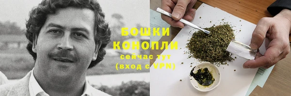 spice Белая Холуница