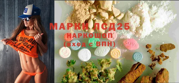 spice Белая Холуница