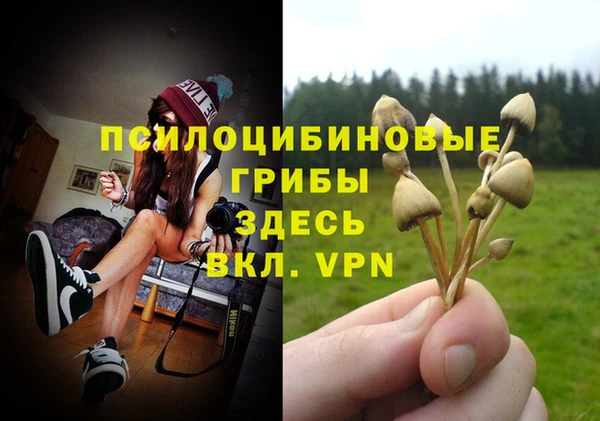 spice Белая Холуница