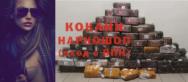 spice Белая Холуница