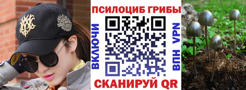 Галлюциногенные грибы Psilocybine cubensis  hydra   Нефтеюганск 